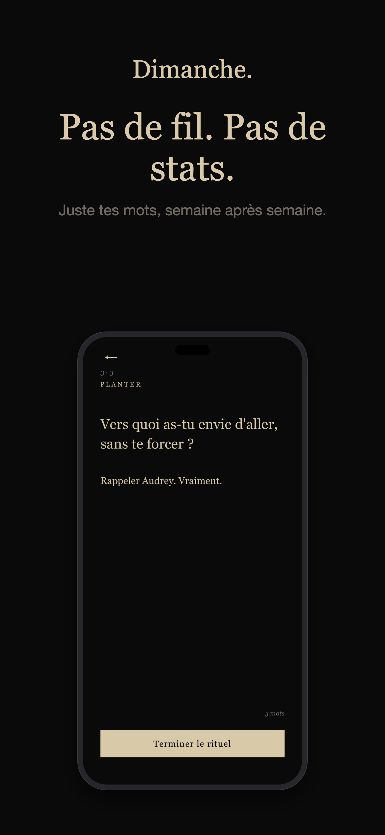 Capture Dimanche